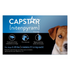 Capstar Flea Tablets for Small Dogs 5-25 lbs