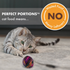 Nutro Perfect Portions Adult Grain Free Salmon & Chicken Pate Wet Cat Food Trays