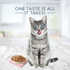 Blue Buffalo Tastefuls Adult Tender Morsels Chicken Entree in Savory Sauce Wet Cat Food