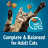 Friskies Party Mix Beachside Crunch Cat Treats