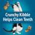 Friskies Party Mix Beachside Crunch Cat Treats